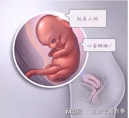 关于私人志愿者代孕服务怎么选